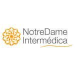 NotreDame.png